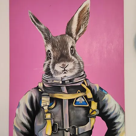 Rabbit * Durres