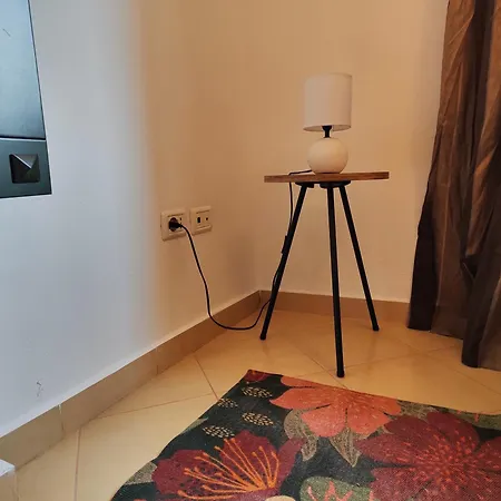 Apartment Rabbit